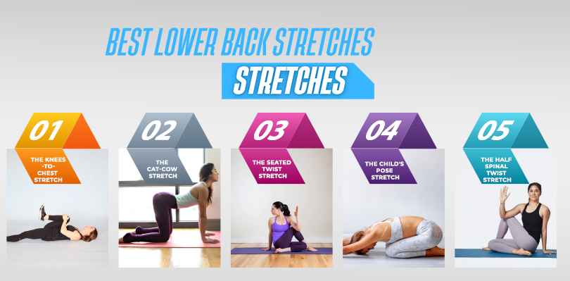 Best Lower Back Stretches