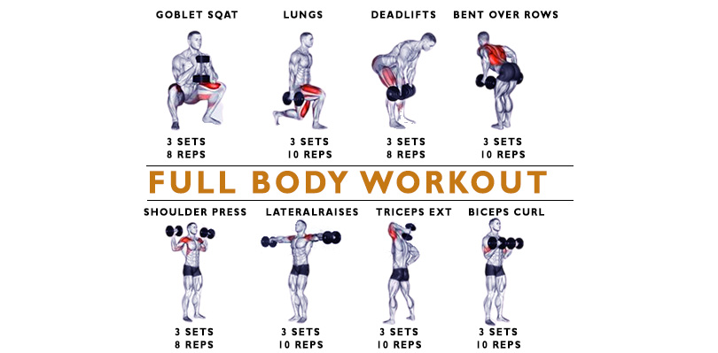 Full Body Workout