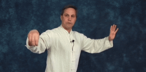 Single-Whip Tai Chi Gifs