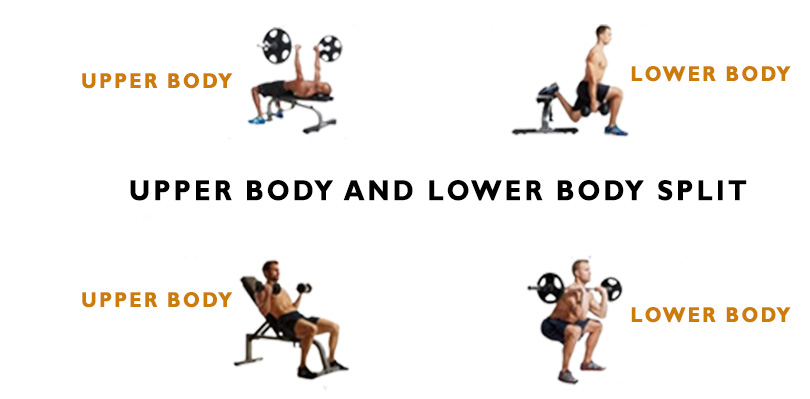 Upper Body And Lower Body Split