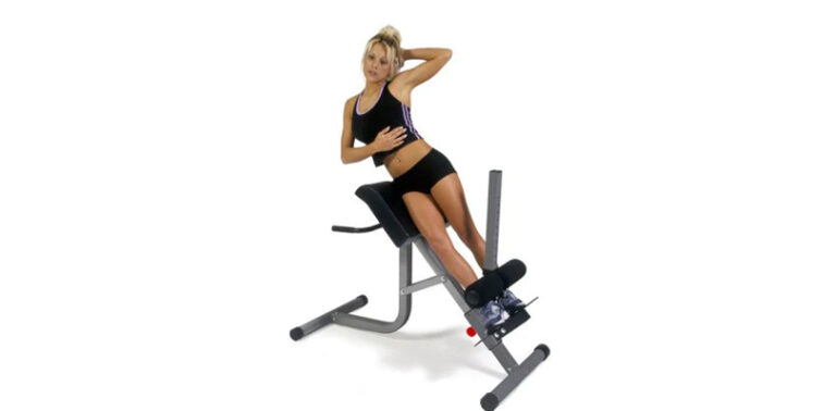 Sunny Health & Fitness Hyperextension Roman Chair Ab Workouts Sit Up Gym Bench for Home